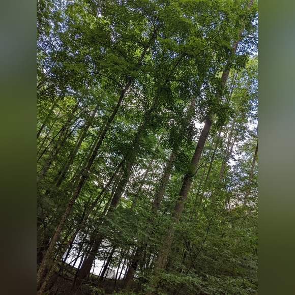 Crafted In West Virginia - Picture 10 of 16